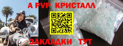 кокс Кингисепп