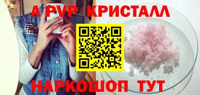 кокс Кингисепп