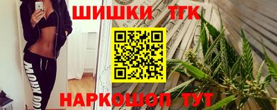 кокс Кингисепп