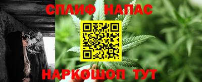 гидра Кинель