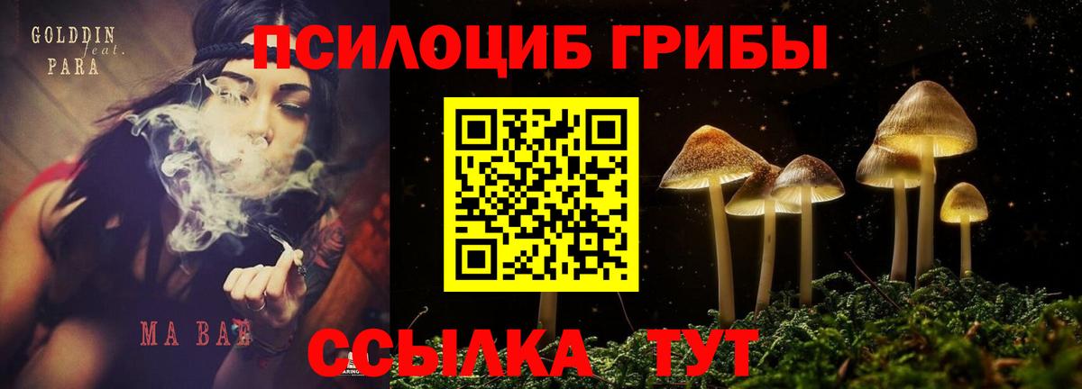 Тимашёвск  Галлюциногенные грибы MAGIC MUSHROOMS  Вход с VPN  Галлюциногенные грибы ЛСД 